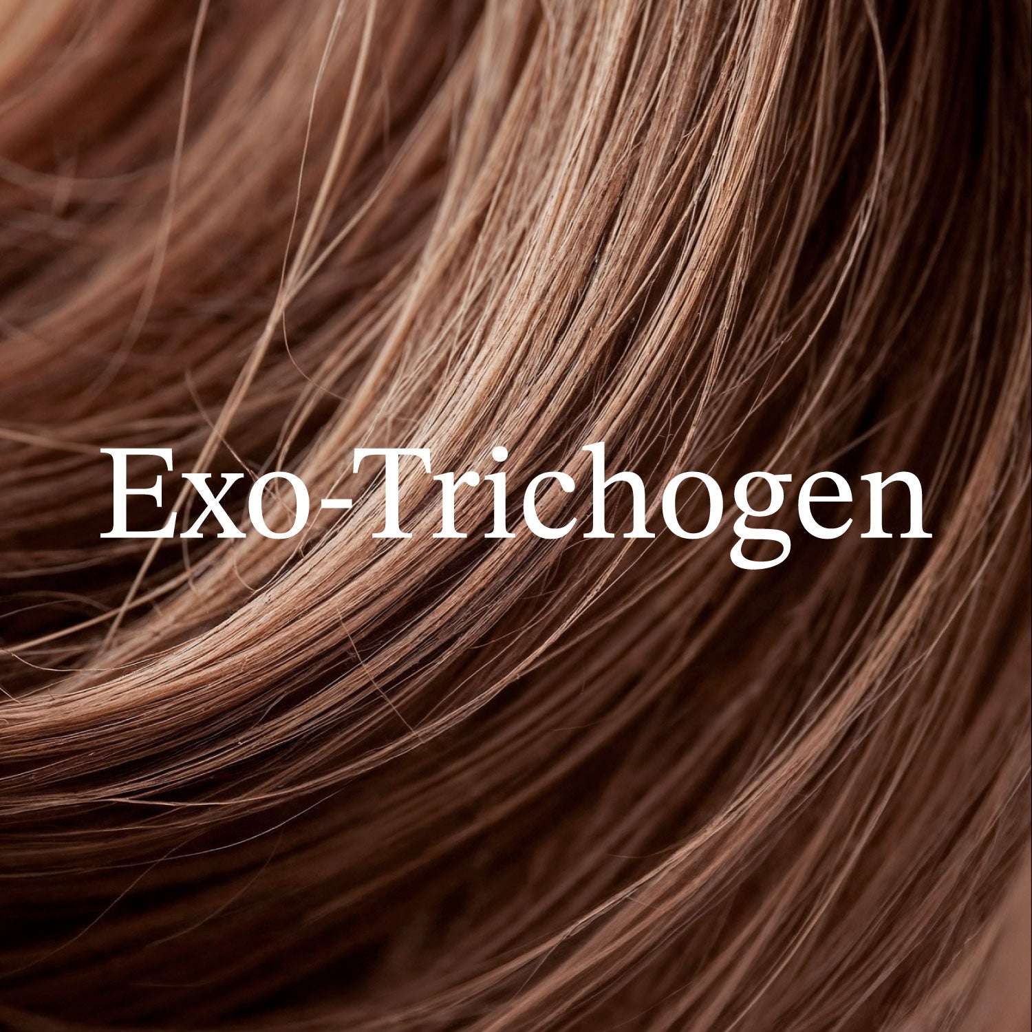 Exo-Trichogen