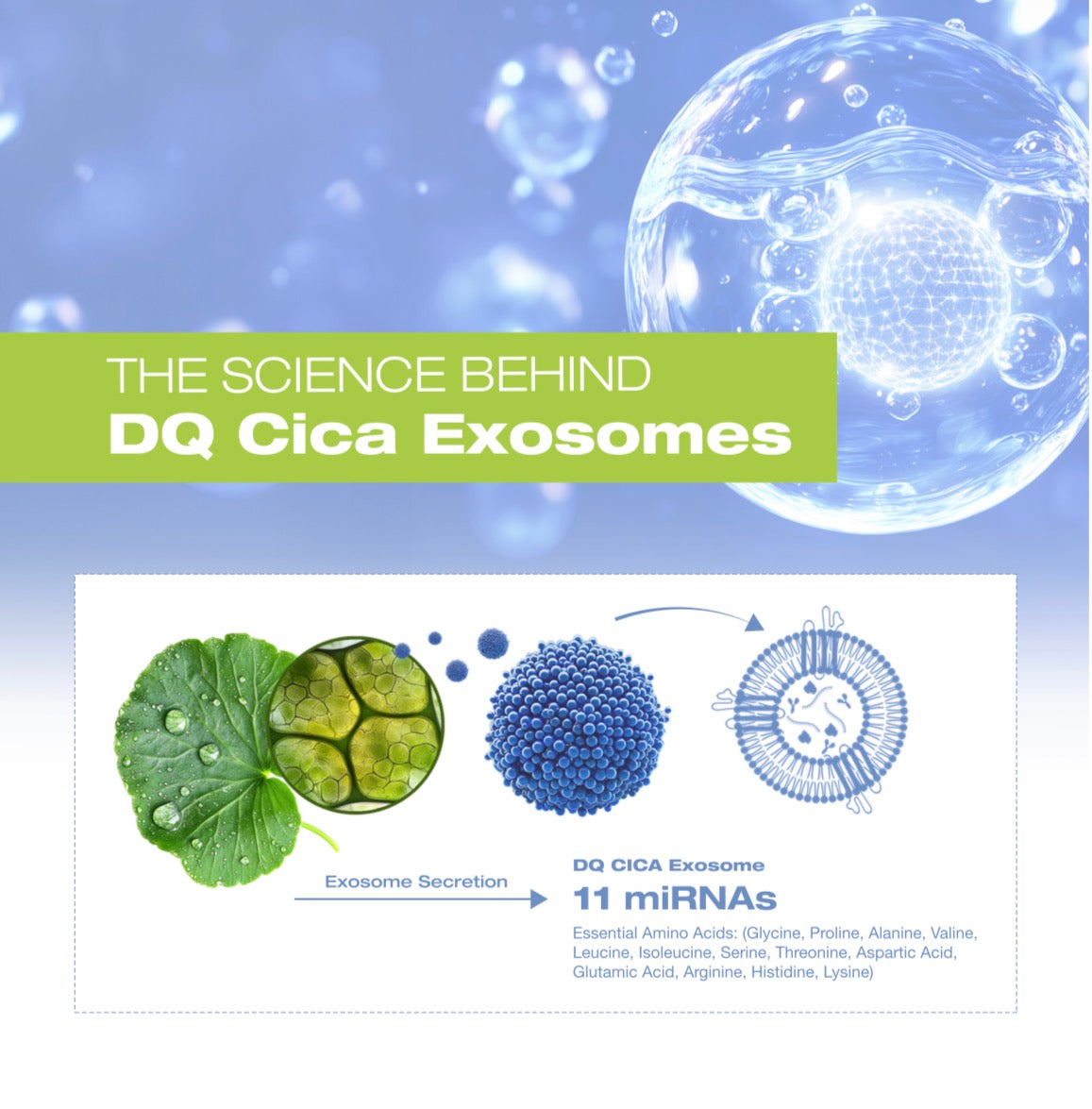 Exocell™ | 8.5 Billion Cica Exosome Skin Regeneration Vial