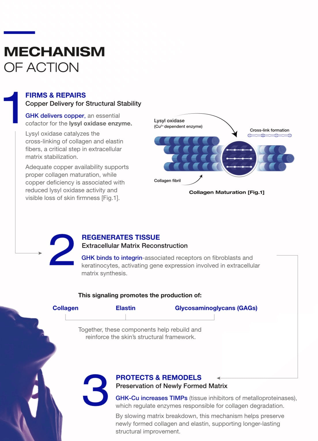 ghk-cu mechanism of action review Blue Booster | Copper Peptide Skin Regeneration D51 ICD-10 Code: Vitamin